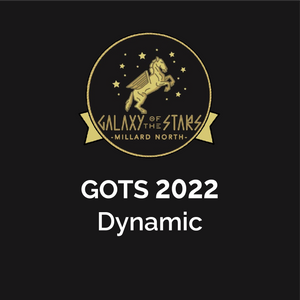 GOTS 2022 - Middle School Competition | Kiewit "Dynamic"