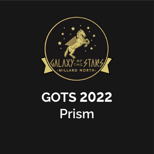 GOTS 2022 | Warrensburg "Prism"