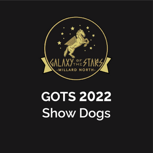 GOTS 2022 - Middle School Competition | Beadle "Show Dogs"